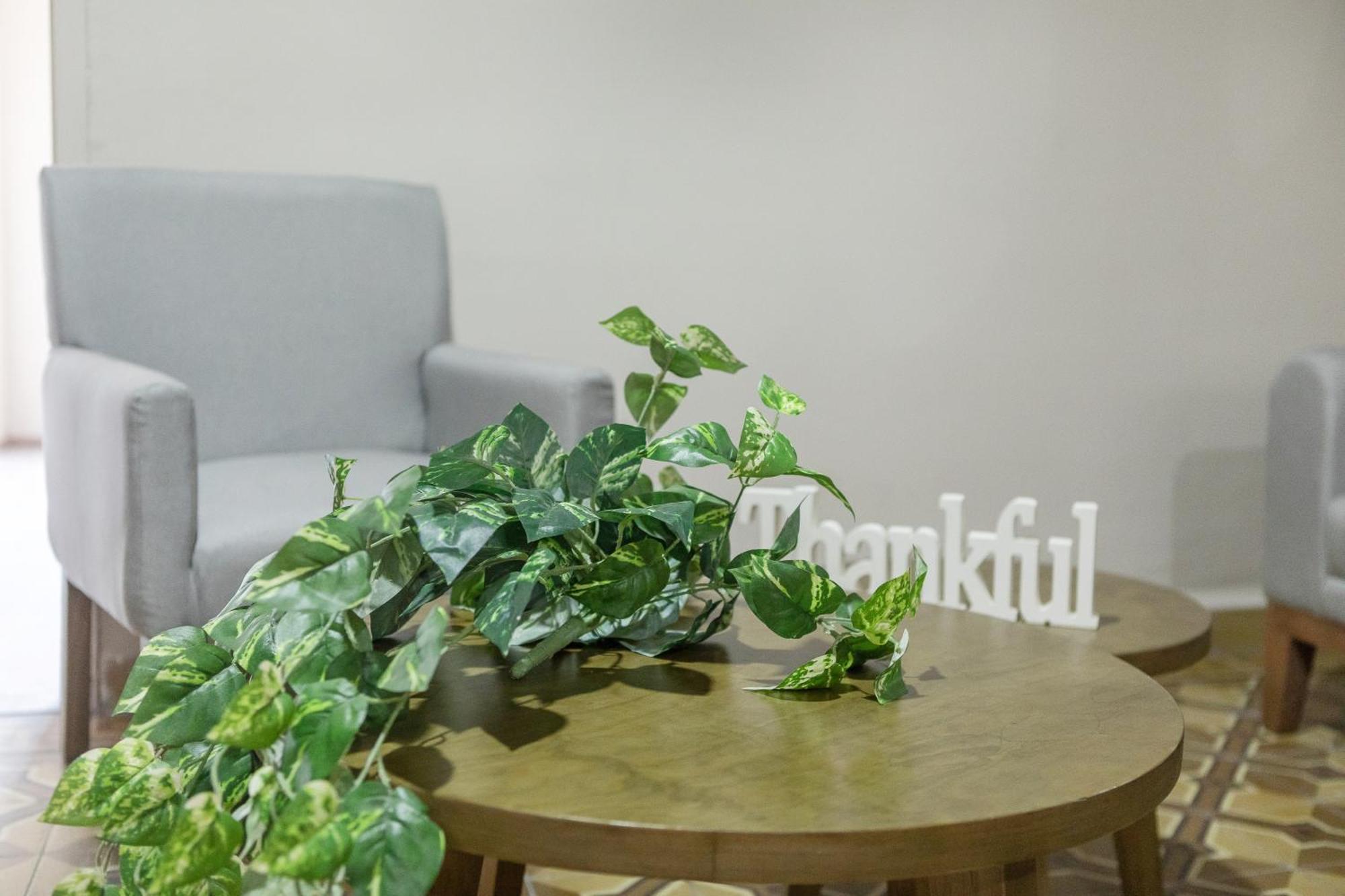 מקסיקו סיטי Relax In Style - Roma Norte 3Br - Fast Wifi מראה חיצוני תמונה